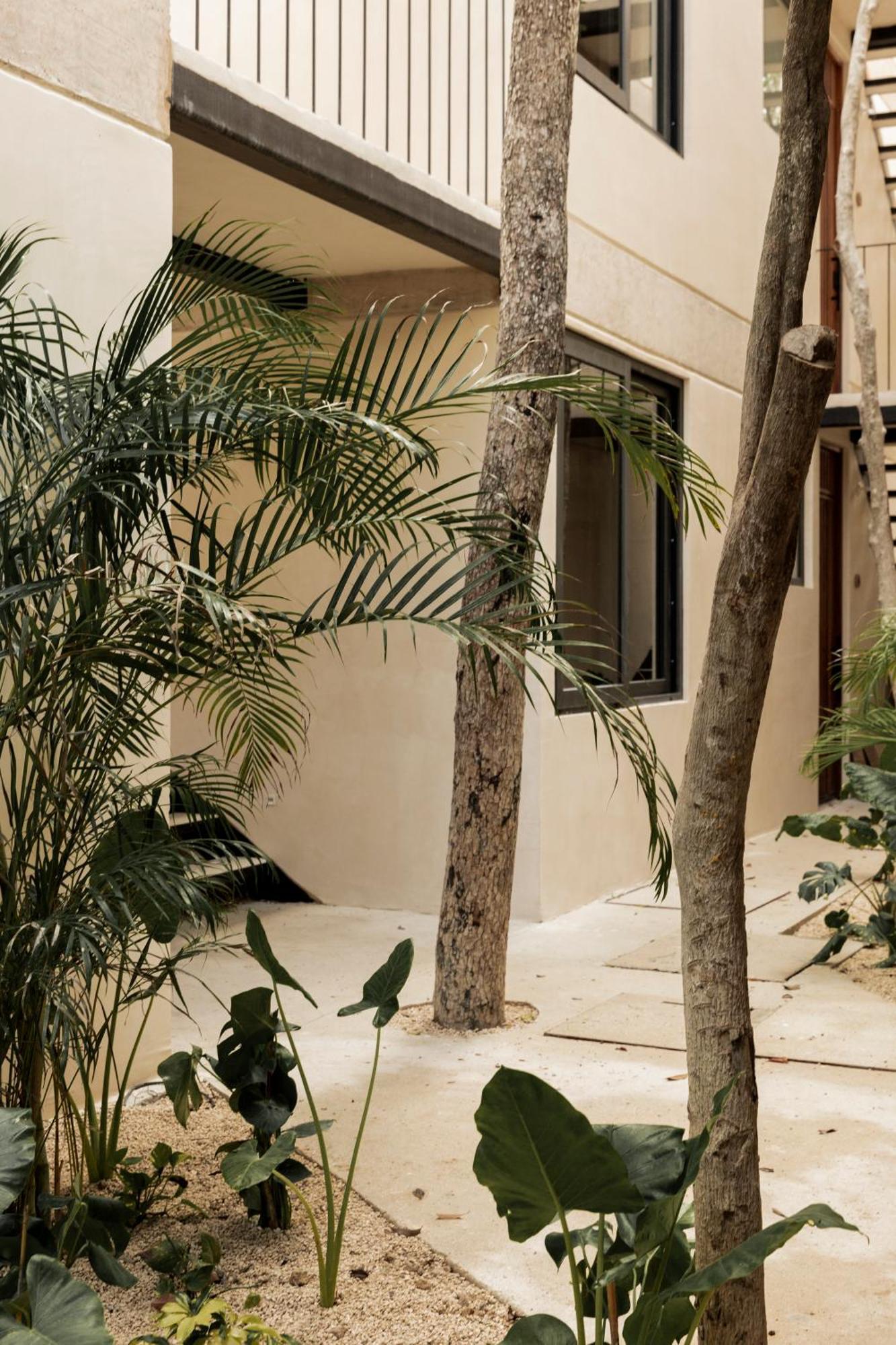 Apartment Arba Ii, Aldea Zama, With Private Plunge Pool Tulum